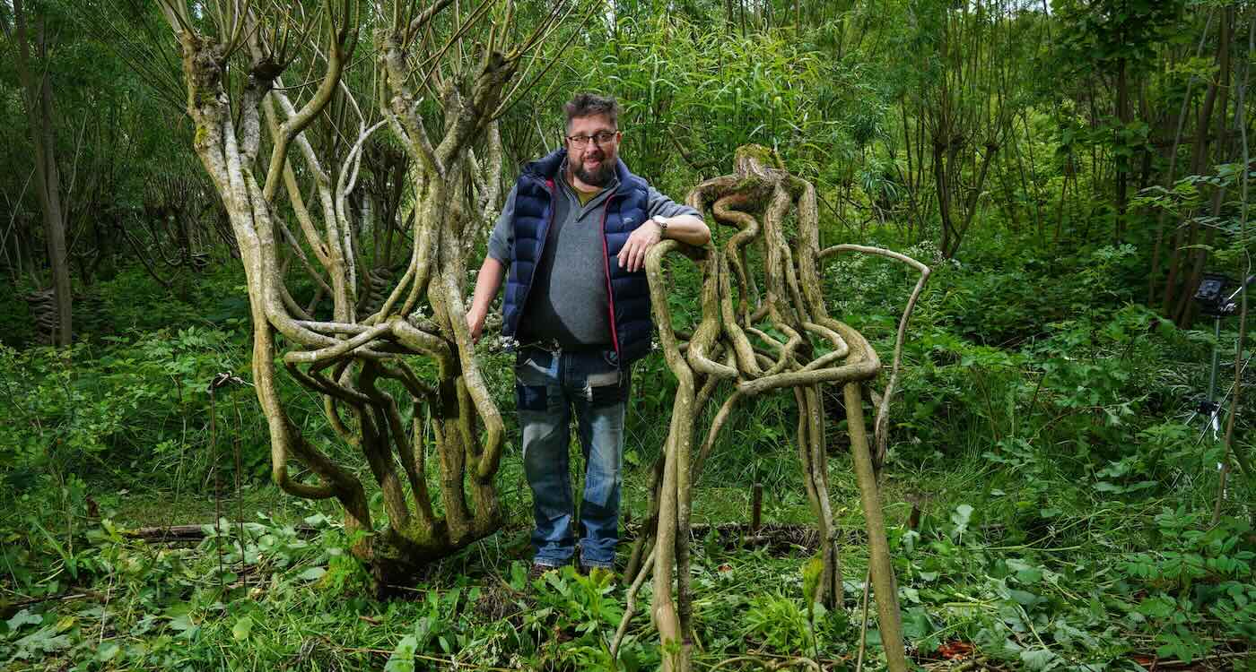trees grown into chairs by artist