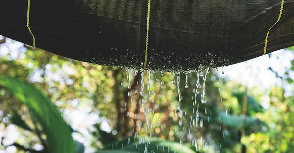 Water permeability demonstration showing controlled drainage through landscape fabric.