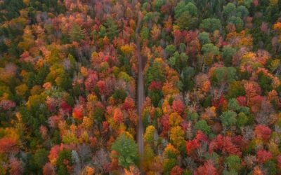 New England’s fall foliage forecast shows a warmer, wetter season | Boston Globe